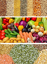  Agriculture market Prices