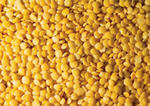 Chana Dal Prices