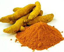Turmeric Market Prices